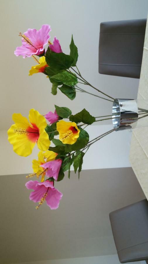 Apartamento Ideal Familias Y Grupos 비고 외부 사진
